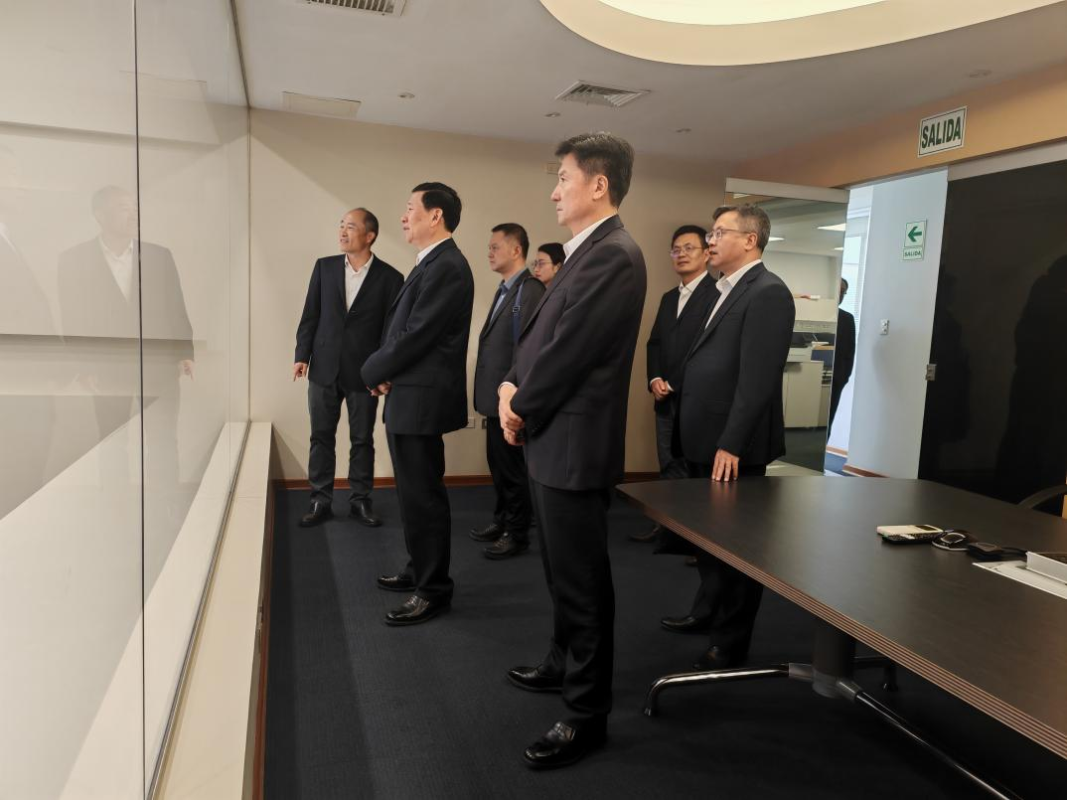 應急管理部部長王祥喜一行赴長江電力路德斯公司調(diào)研指導